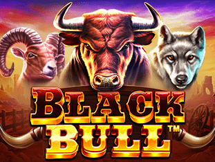 Black Bull game cover