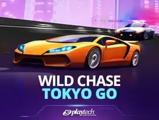 Wild Chase Tokyo Go game cover